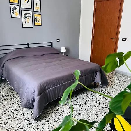 Apartman Domus Valente *